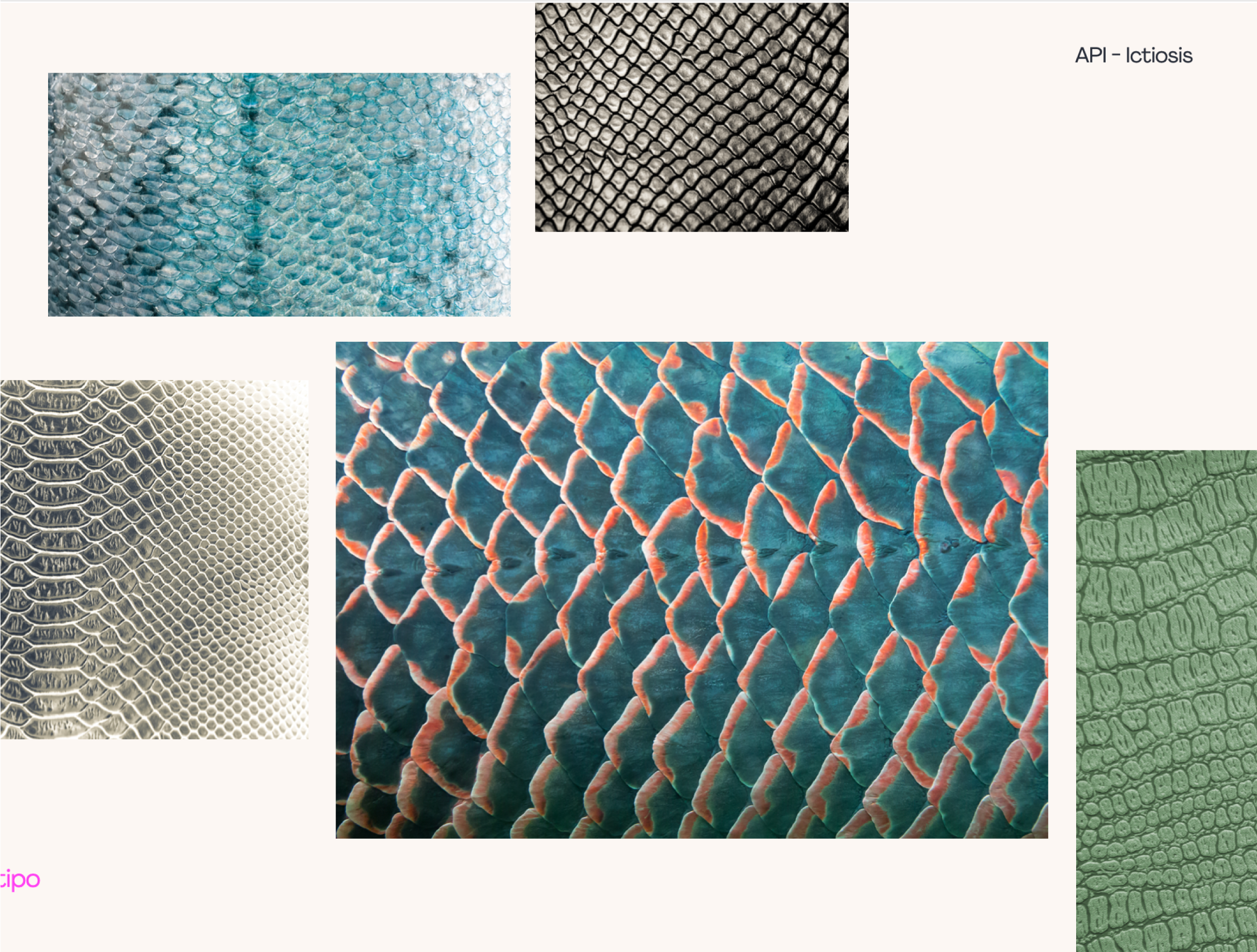 Branding API - Imagen 2