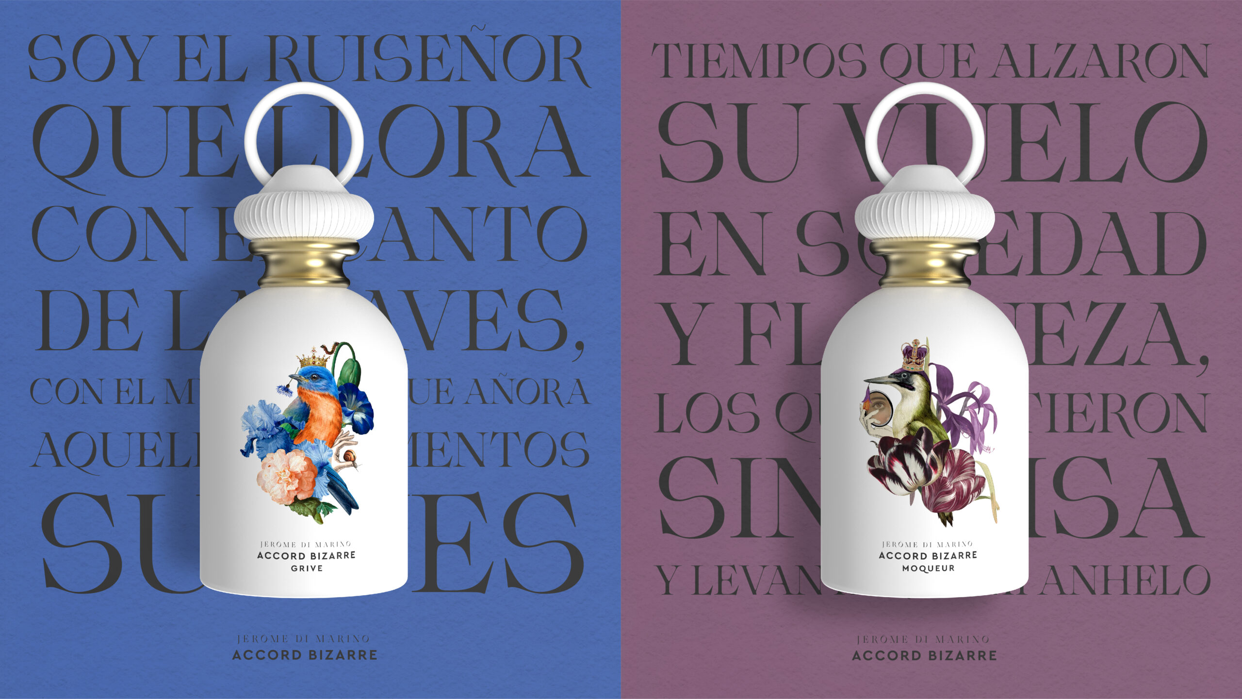 Accord Bizzarre – Jerome Di Marino - Imagen 2