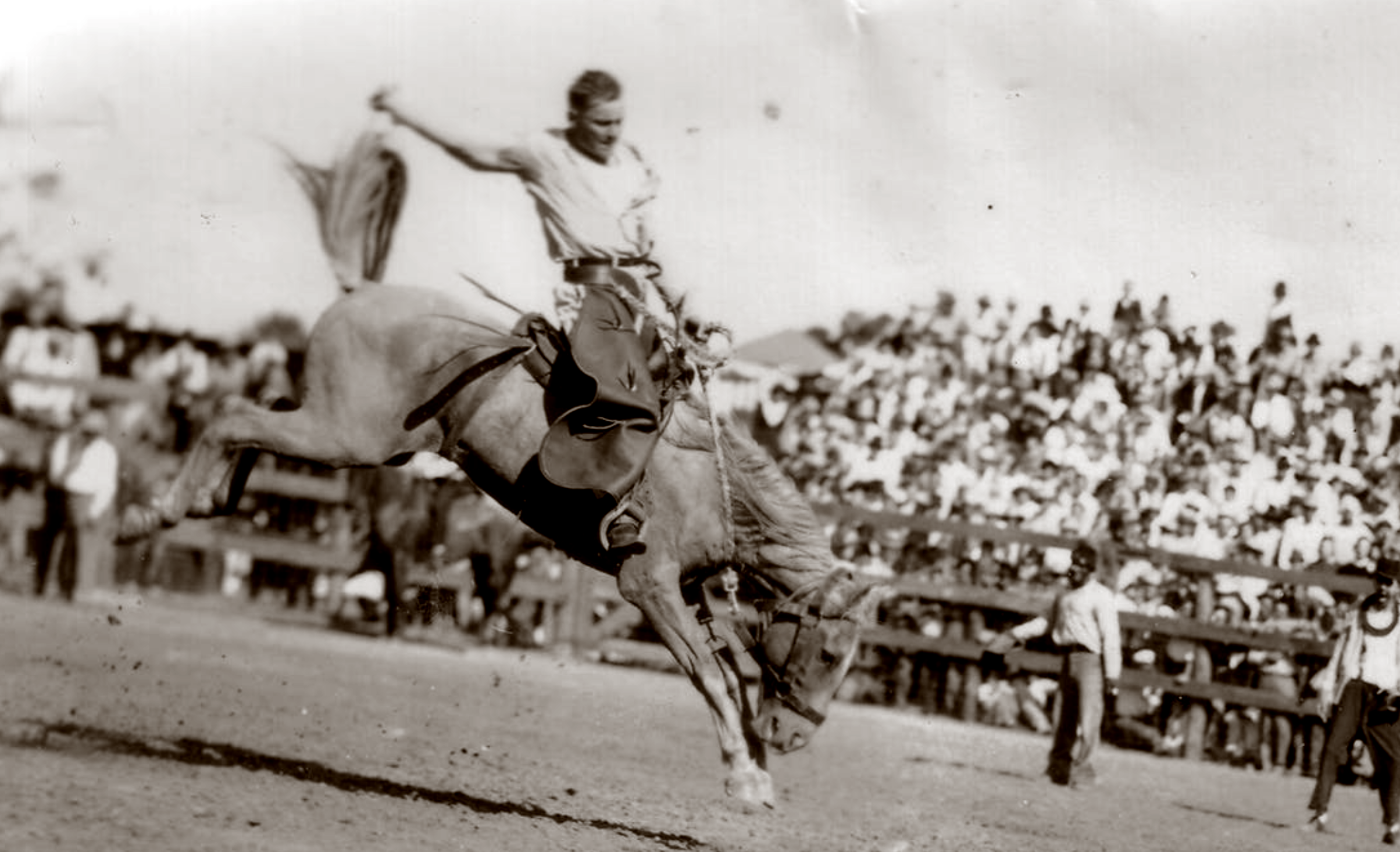 Buckhorn Rodeo Whiskey - Imagen 3