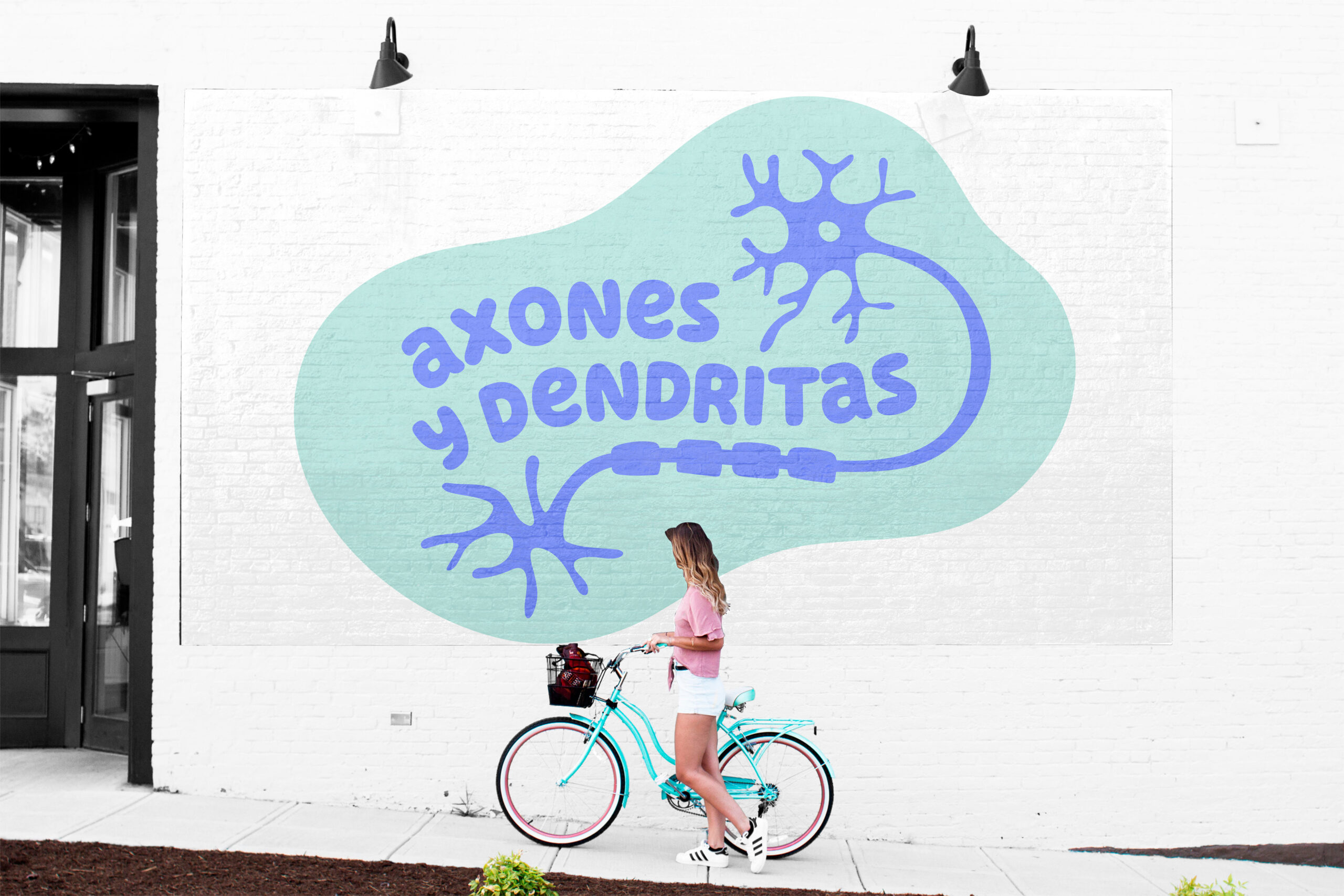 Axones y Dendritas - Imagen 2