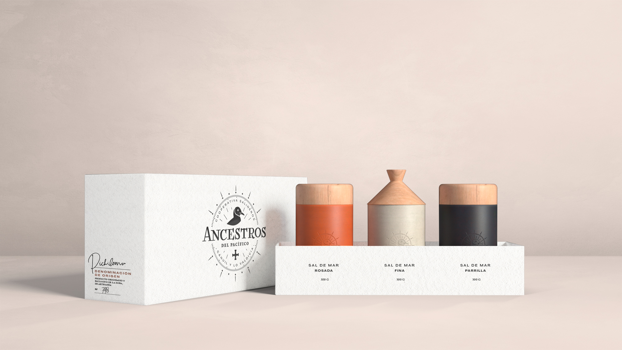 Packaging Sal de Cáhuil - Imagen 3