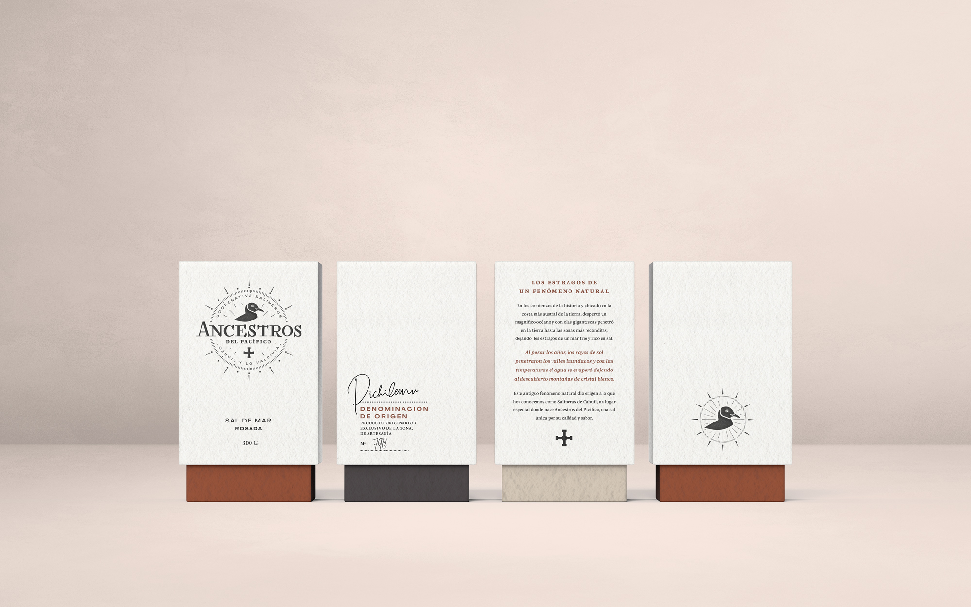 Packaging Sal de Cáhuil - Imagen 1